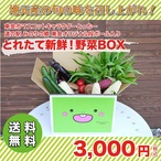 とれたて新鮮！野菜BOX　オリジナル！とっちー段ボールに入れてお届け！（送料無料）