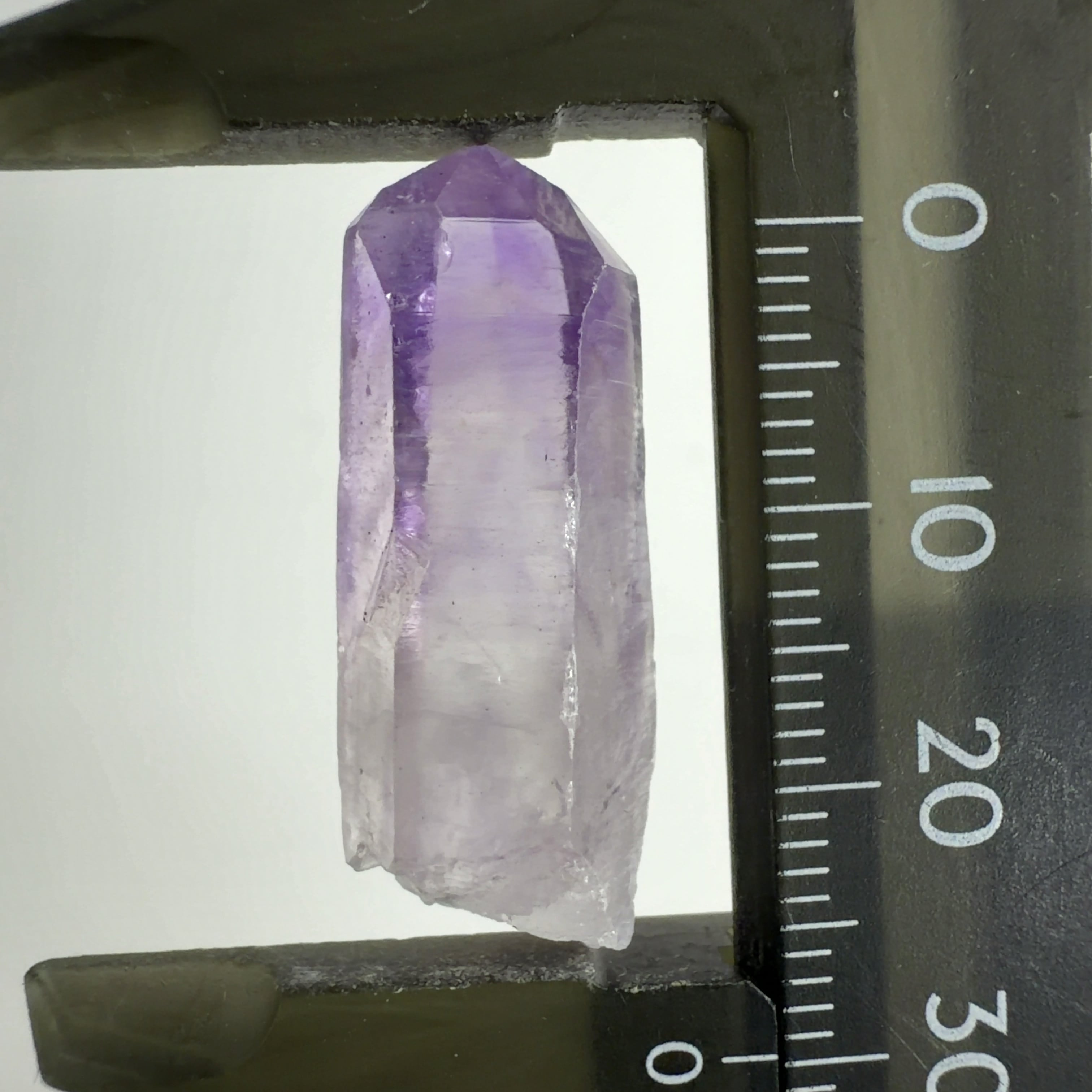 18201】Aランク ベラクルスアメシスト ベラクルス アメシスト