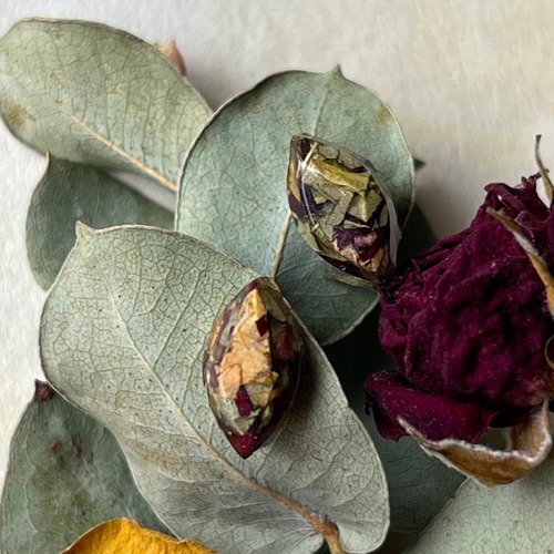 Fiorella pierce -GREEN-