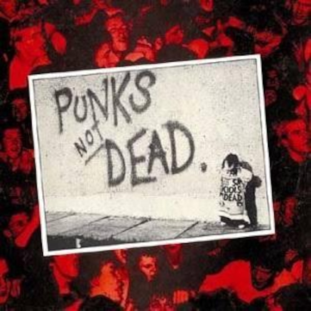 【USED/A-7】The Exploited / Punks Not Dead