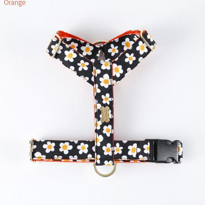 ☆NORADOG 予約販売 Mr.Clover/Mr.クローバー イージー