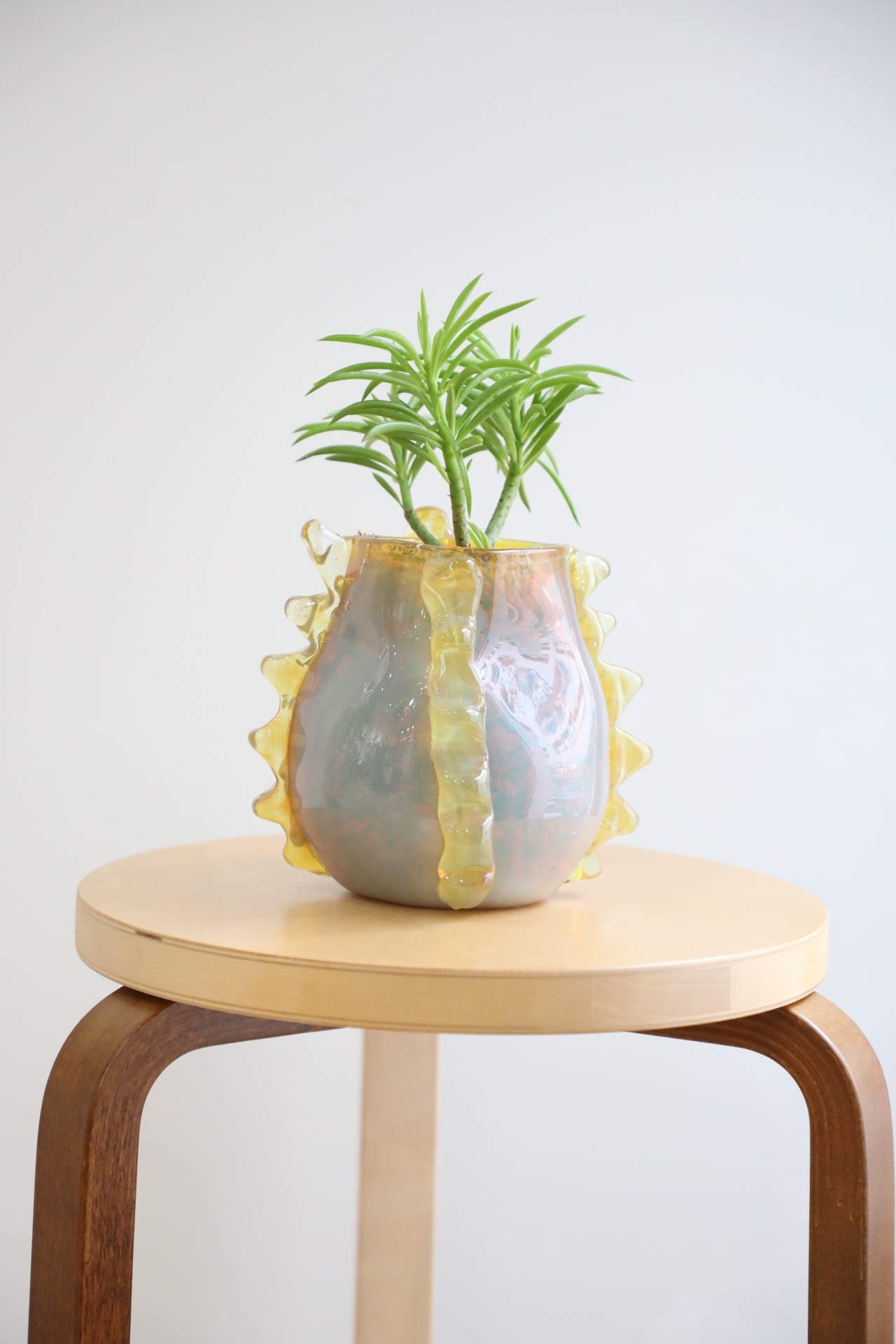 durian】ガラスアーティスト ”Yuri Iwamoto”×翠堂明 コラボ作品