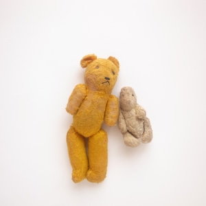 Teddy bear / Pair