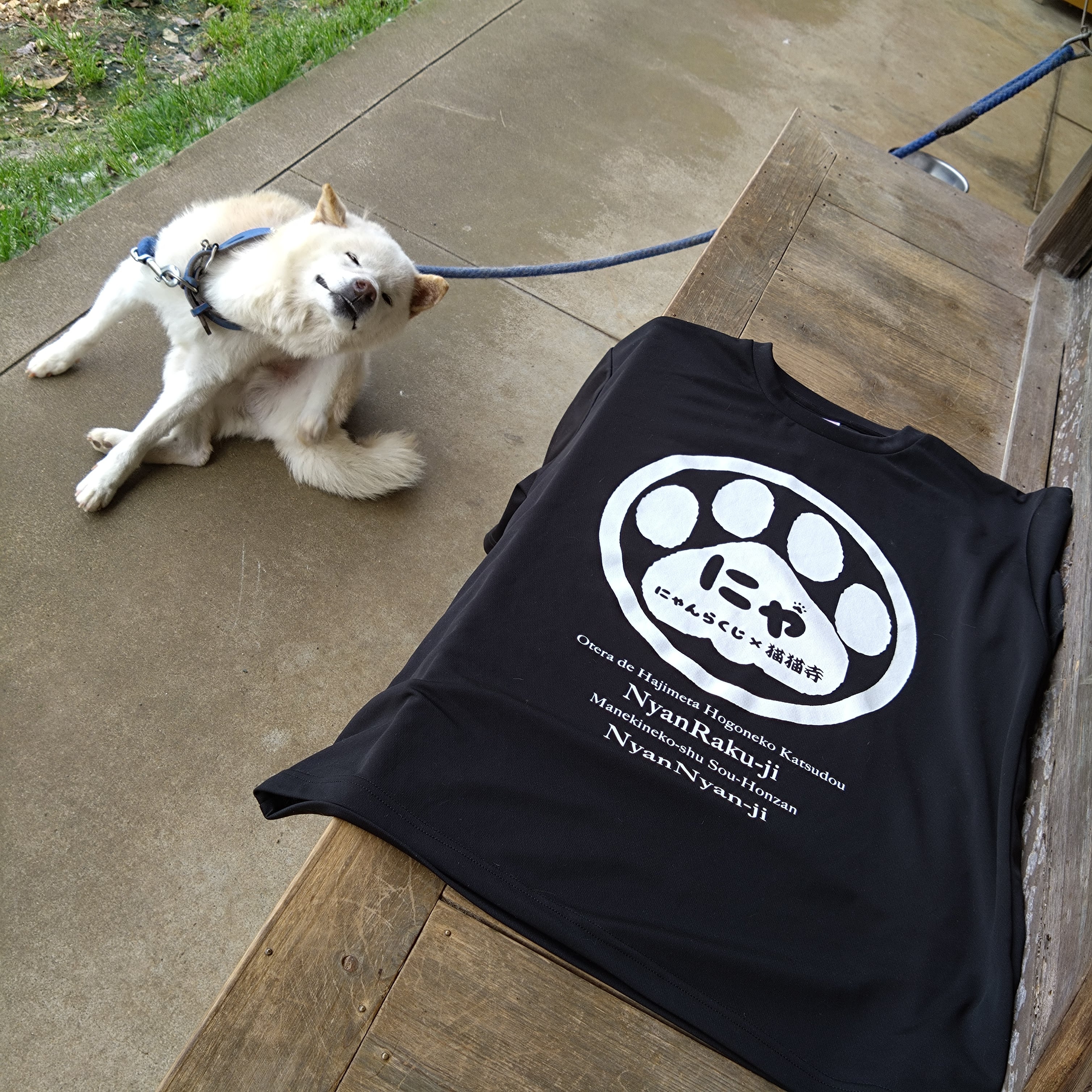 にゃんらくじ】にゃT Ver.4 | 天王山 安楽寺