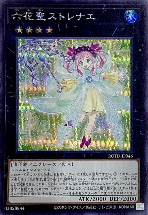 【Bランク】六花聖ストレナエ(シク)