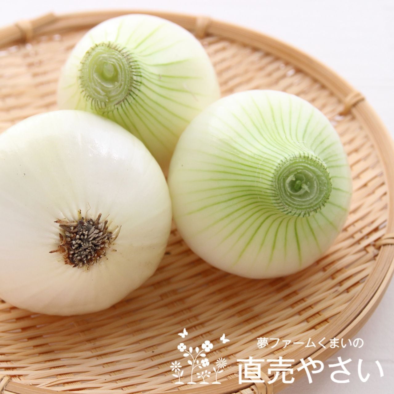 玉ねぎ 訳あり 10kg 送料無料 小さなサイズ取合せ | 農家の野菜通販