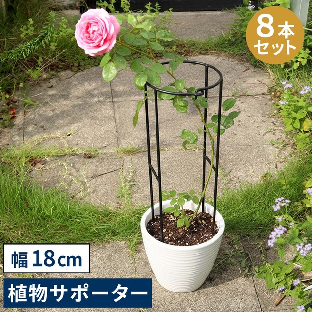 住まいスタイル アイアン製植物サポーター 幅18 8本セット IF-N0050-8P<br>奥行10 高さ50 ハーフリング 倒れ防止 広がり抑制 スチール 鉄製 支柱 園芸 植物サポート フラワーサポート 菜園 花壇