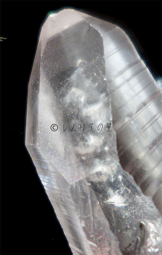 981 ミニレムリアンシード、ステップドアカシックライン、ポイント