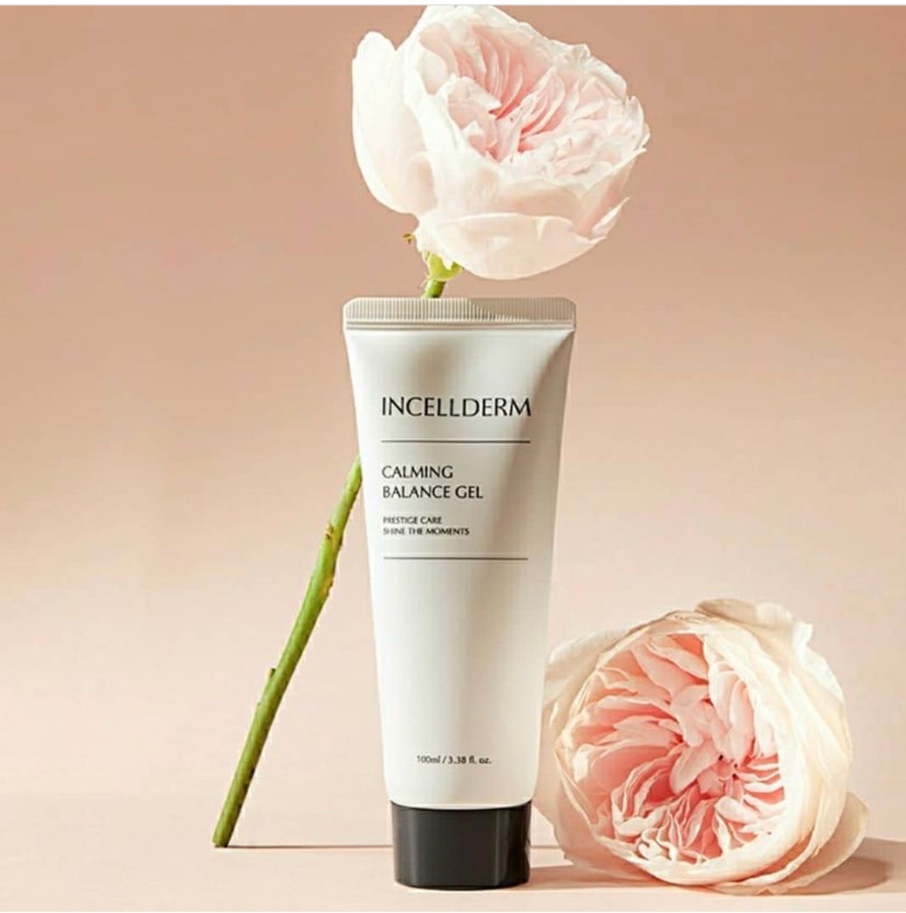 INCELLDERM インセルダム リニューアル 基礎5点セット | Incellderm-JP 