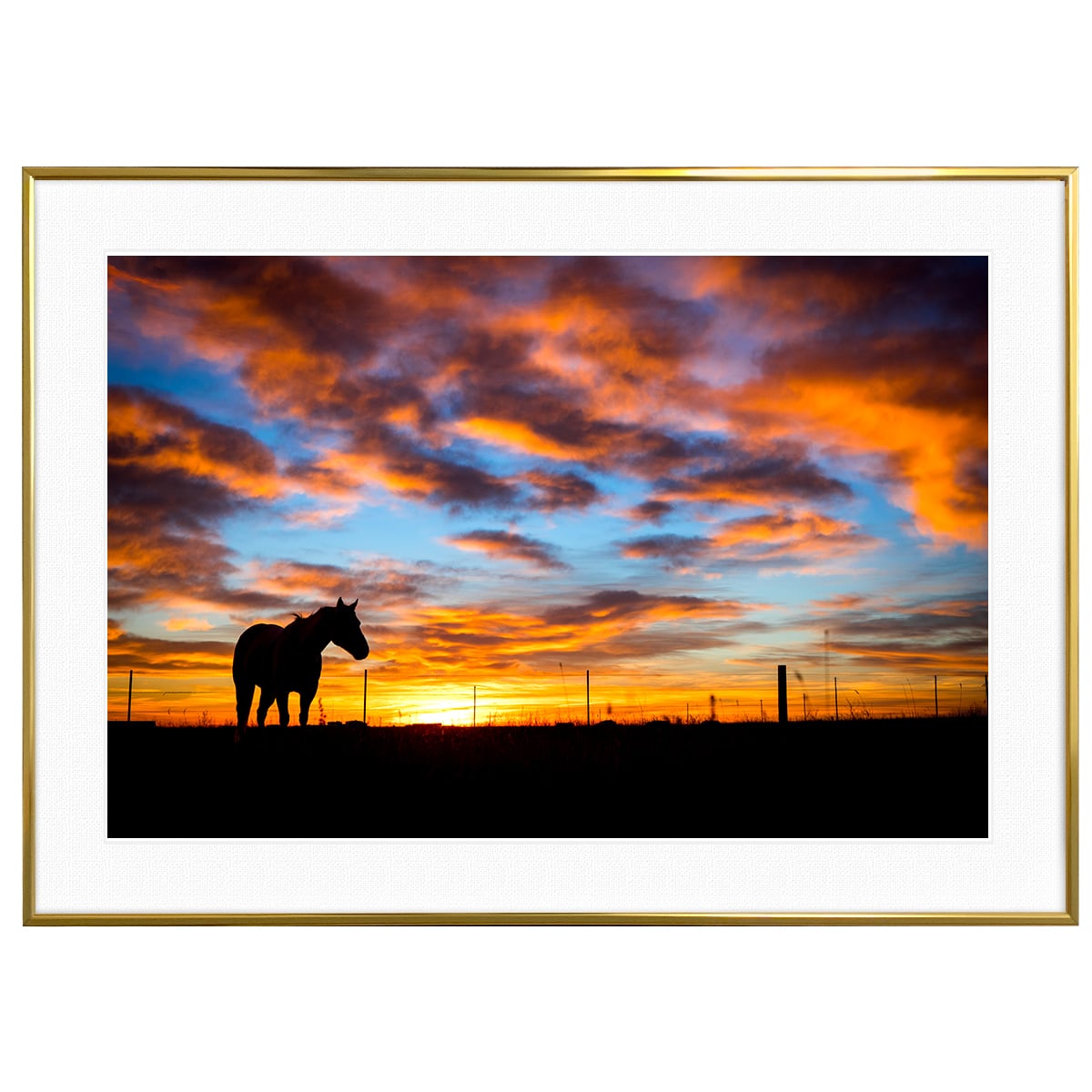 夕日写真 夕陽に染まる牧場の馬 インテリアアートポスター額装 AS1668