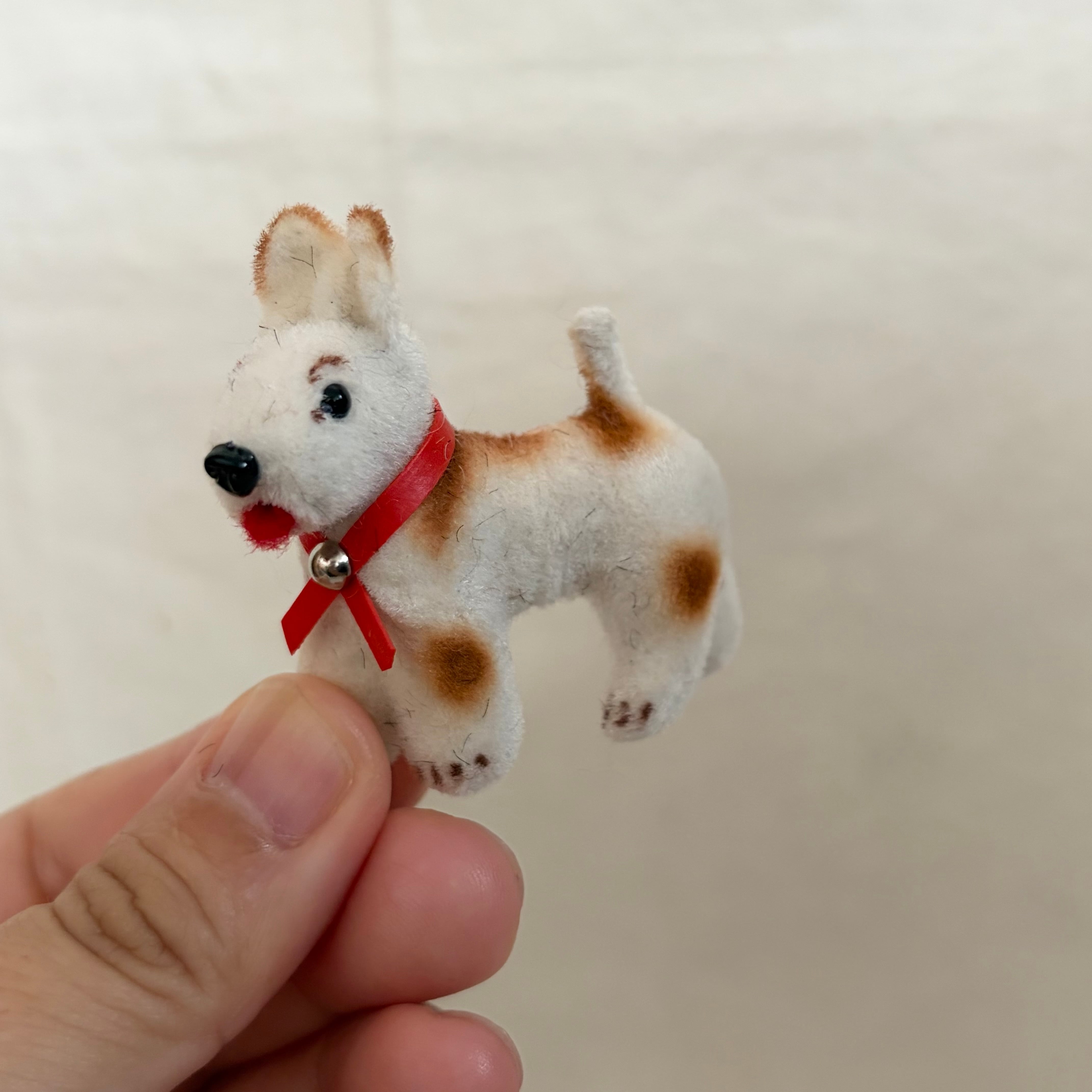 ワグナーの子犬