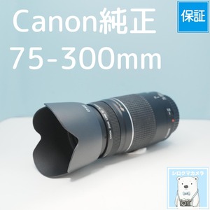 Canon純正 75-300mm EFマウント用 望遠レンズ シロクマカメラ a7647