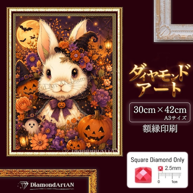 ダイヤモンドアート -AN-
