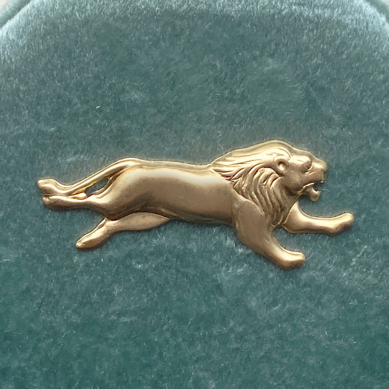 ジュエリーケース M - 9.Lion | TAMARI ONLINE / オンラインショップ・通販