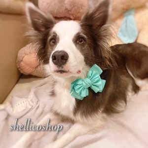 【aqua】ボリュームたっぷりリボンチョーカー