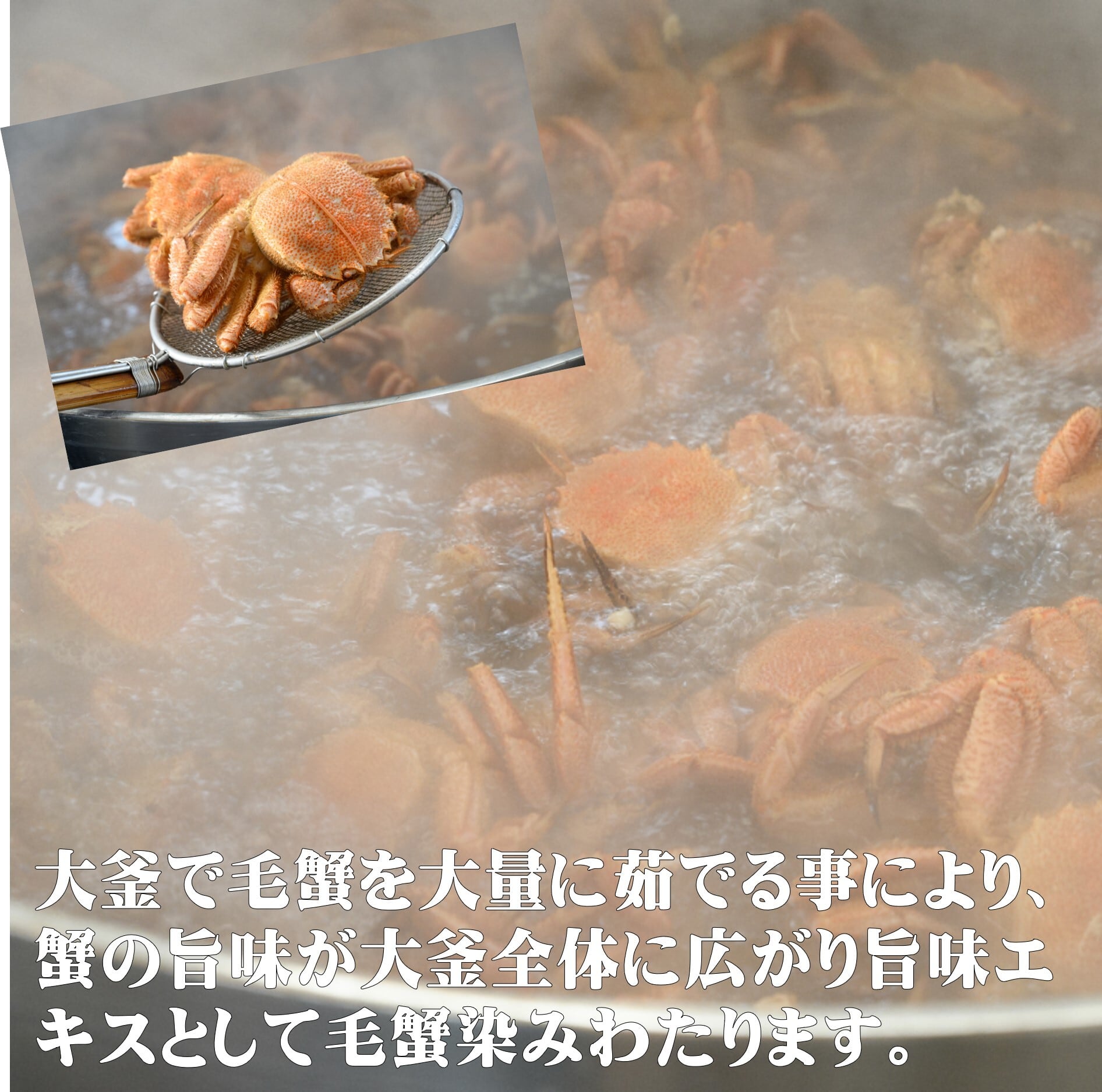 北海道産 毛蟹 3杯セット 北海道を代表する蟹 冷凍 ボイル 超お買い得