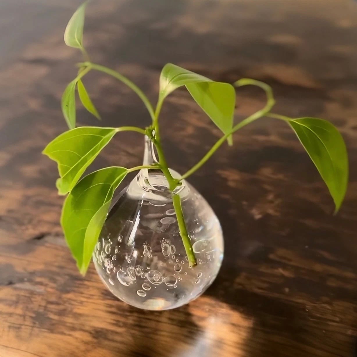 花器(高さ 9 cm) 雫花器 クリア S | TSUNE;田中恒子の器