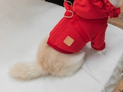 フリルパーカーハーネス