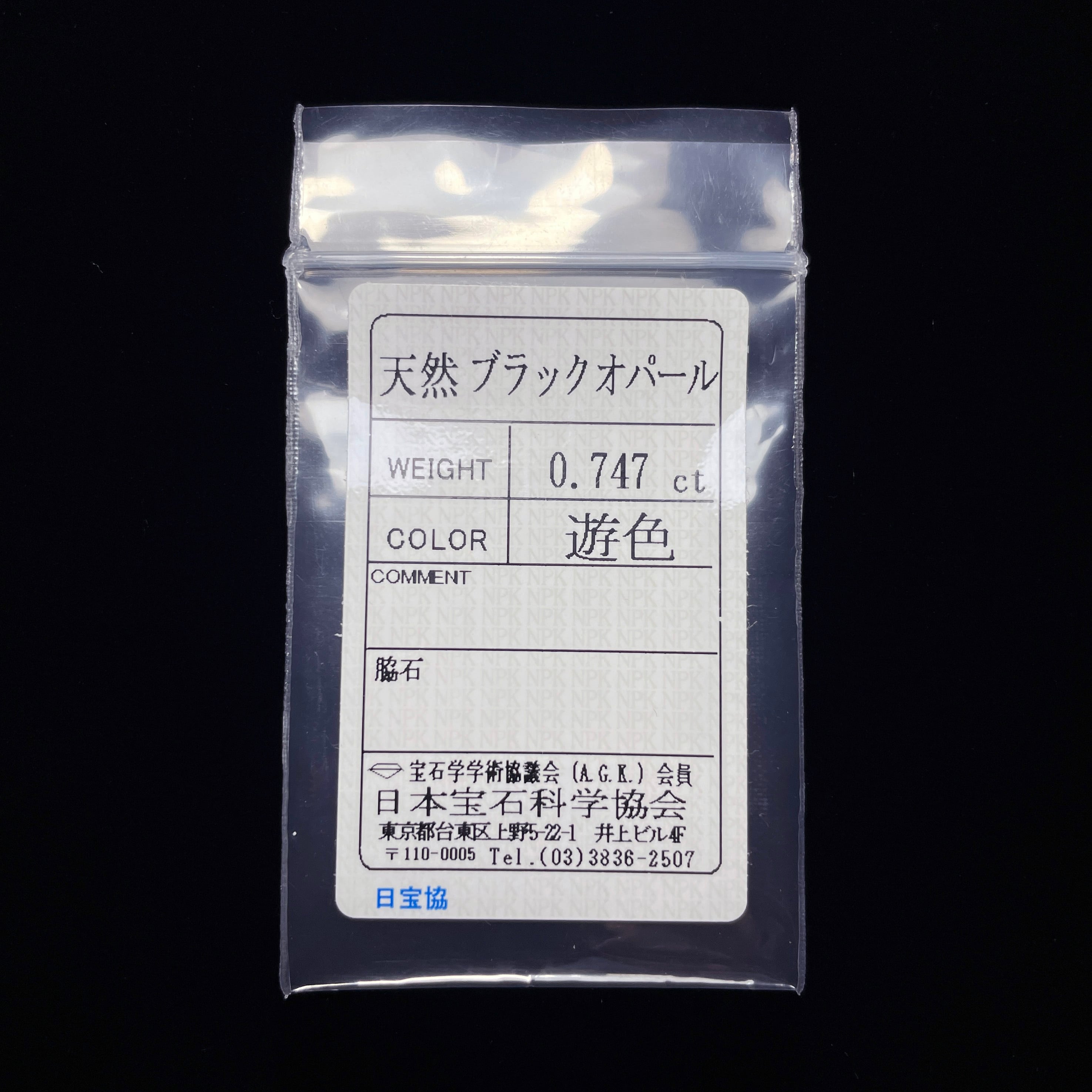 現品 Iris｜イリス ブローチ ペンダント (K18 ＆ SV925) ブラック
