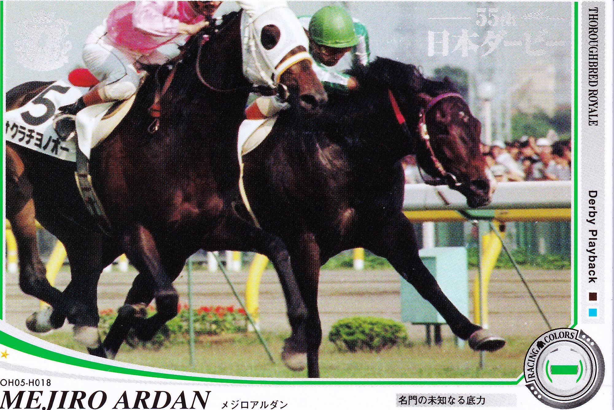 オーナーズホース | カードショップ うるま屋