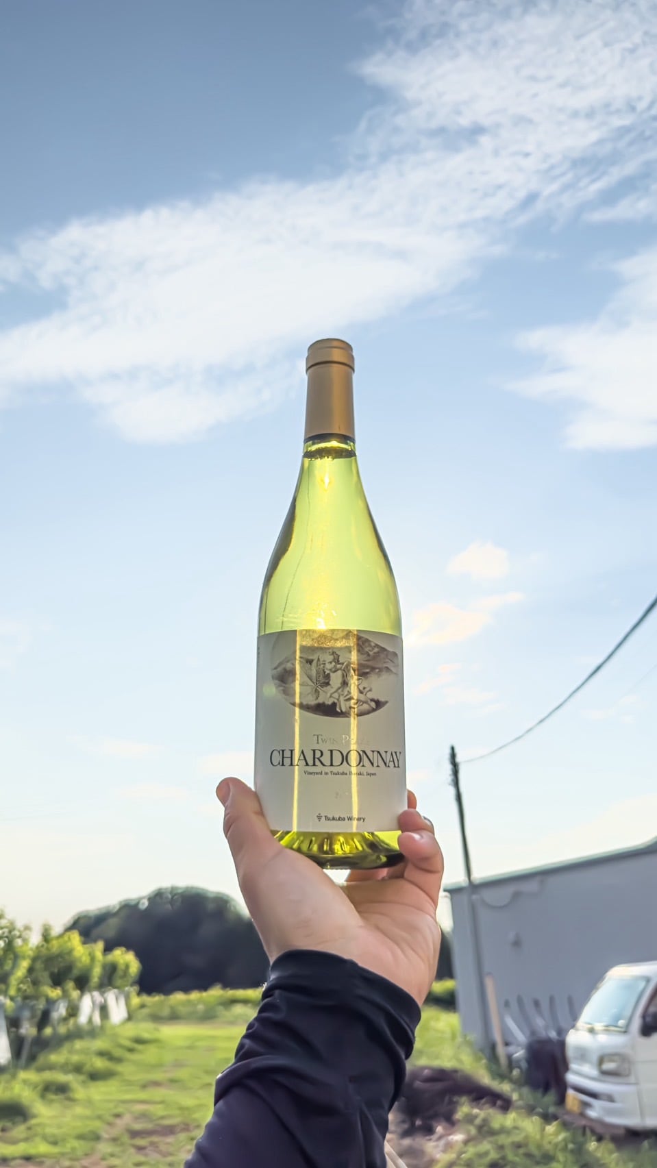 2024 TWIN PEAKS シャルドネ | つくばワイナリー