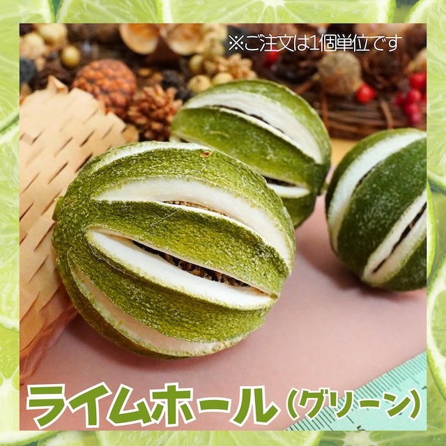 ＊再入荷＊　人気！グリーン【ライムホール】ドライフラワー