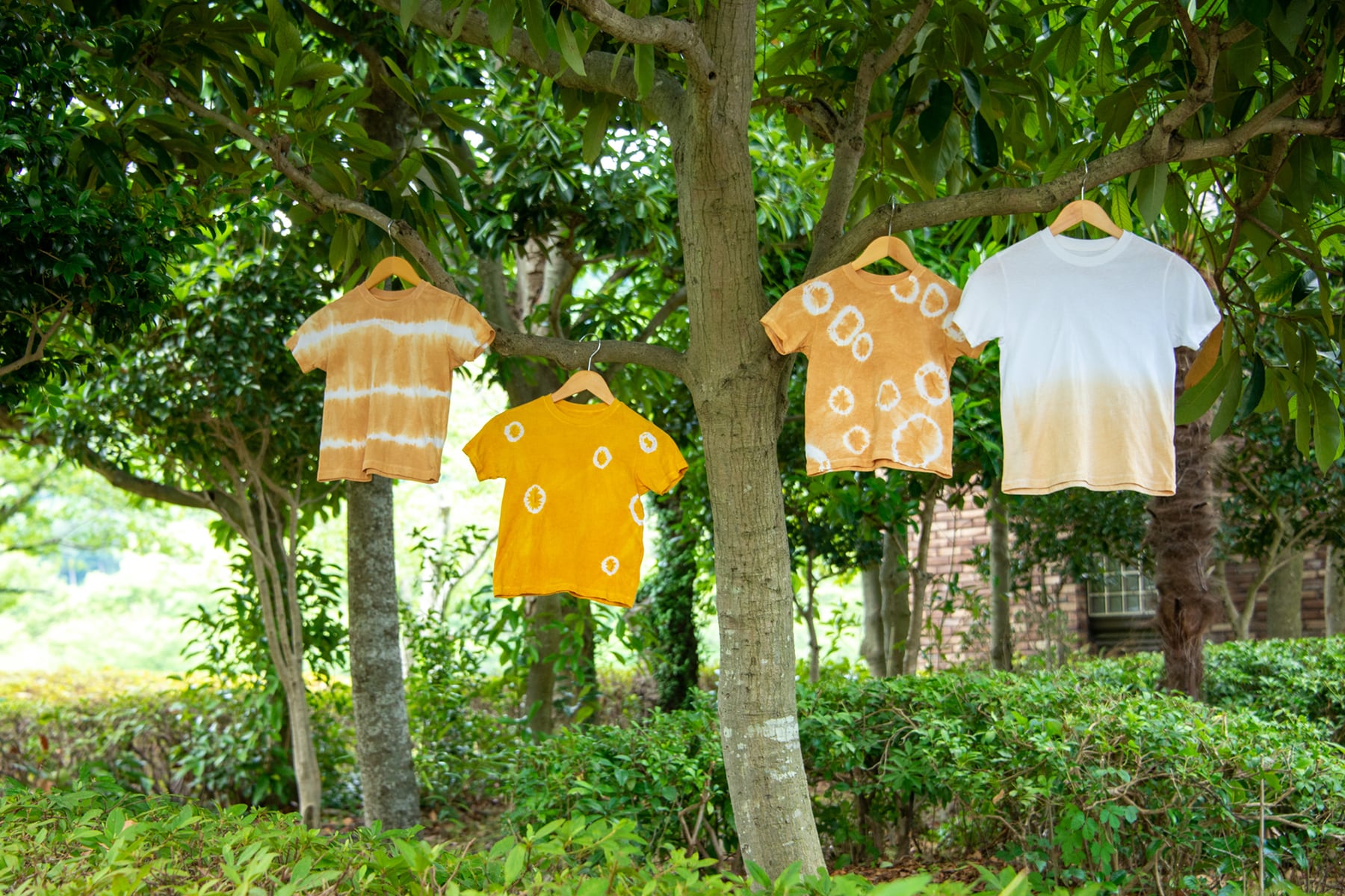 すろーかる限定 たまねぎの皮草木染めキット Yutori Art Craft すろーかるmarket すろーかる限定 たまねぎの皮草木染めキット Yutori Art Craft すろーかるmarket
