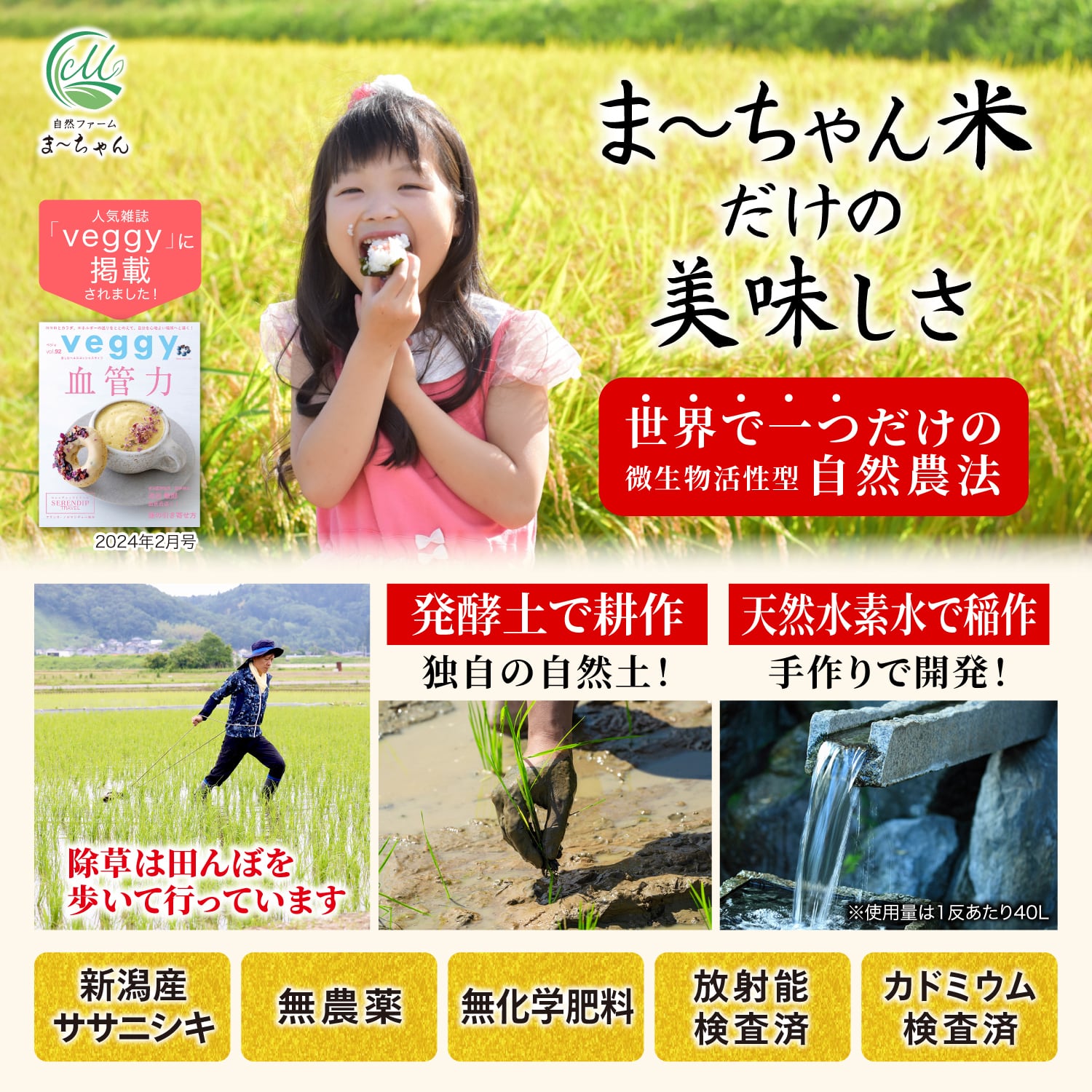 ま〜ちゃん米 【自然農法 ササニシキ】 新潟産 無農薬 無肥料米 (5kg