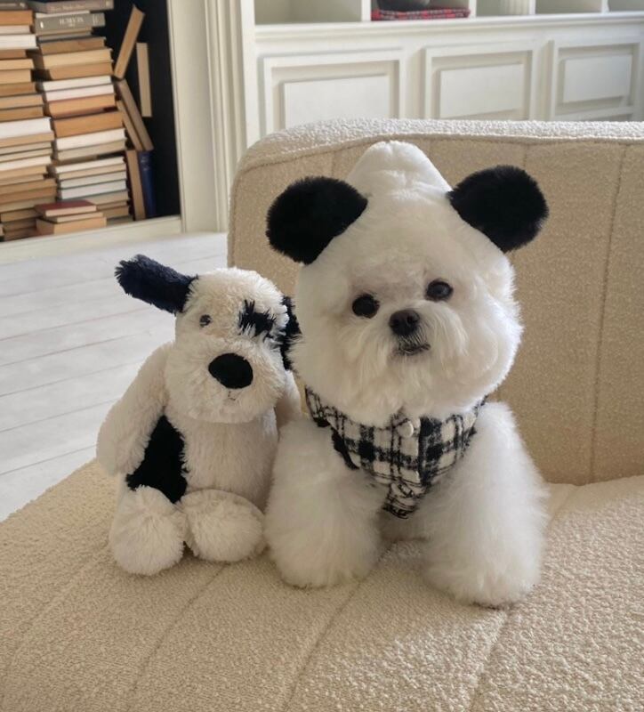 《予約》HI0041 Panda Vest