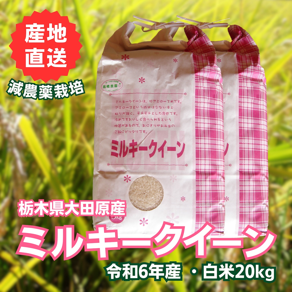 千葉県産令和6年新米ミルキークィーン玄米20kg 利口 千葉県産令和6年新米ミルキークィーン玄米20kg 利口