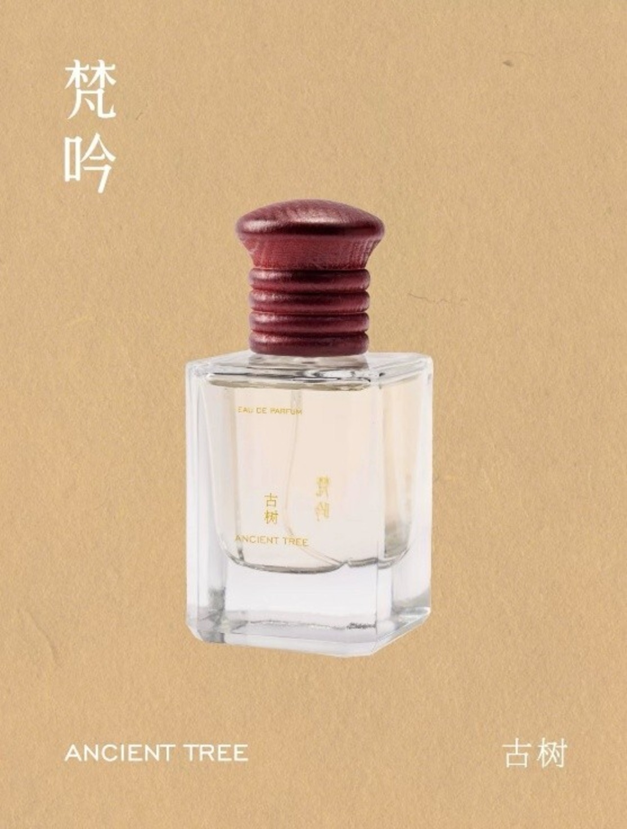【梵吟 FanYin】ANCIENT TREE