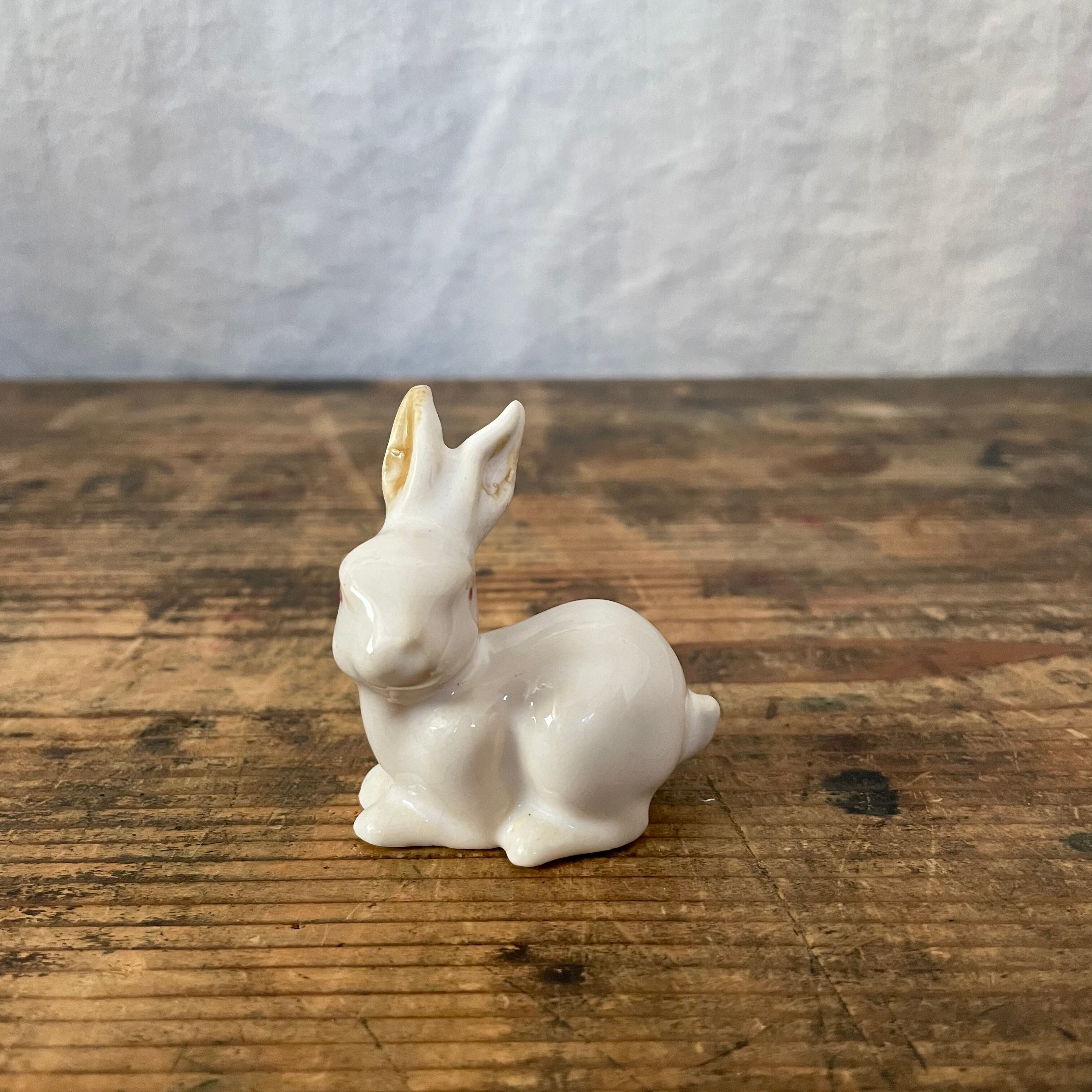 賢そうなうさぎ