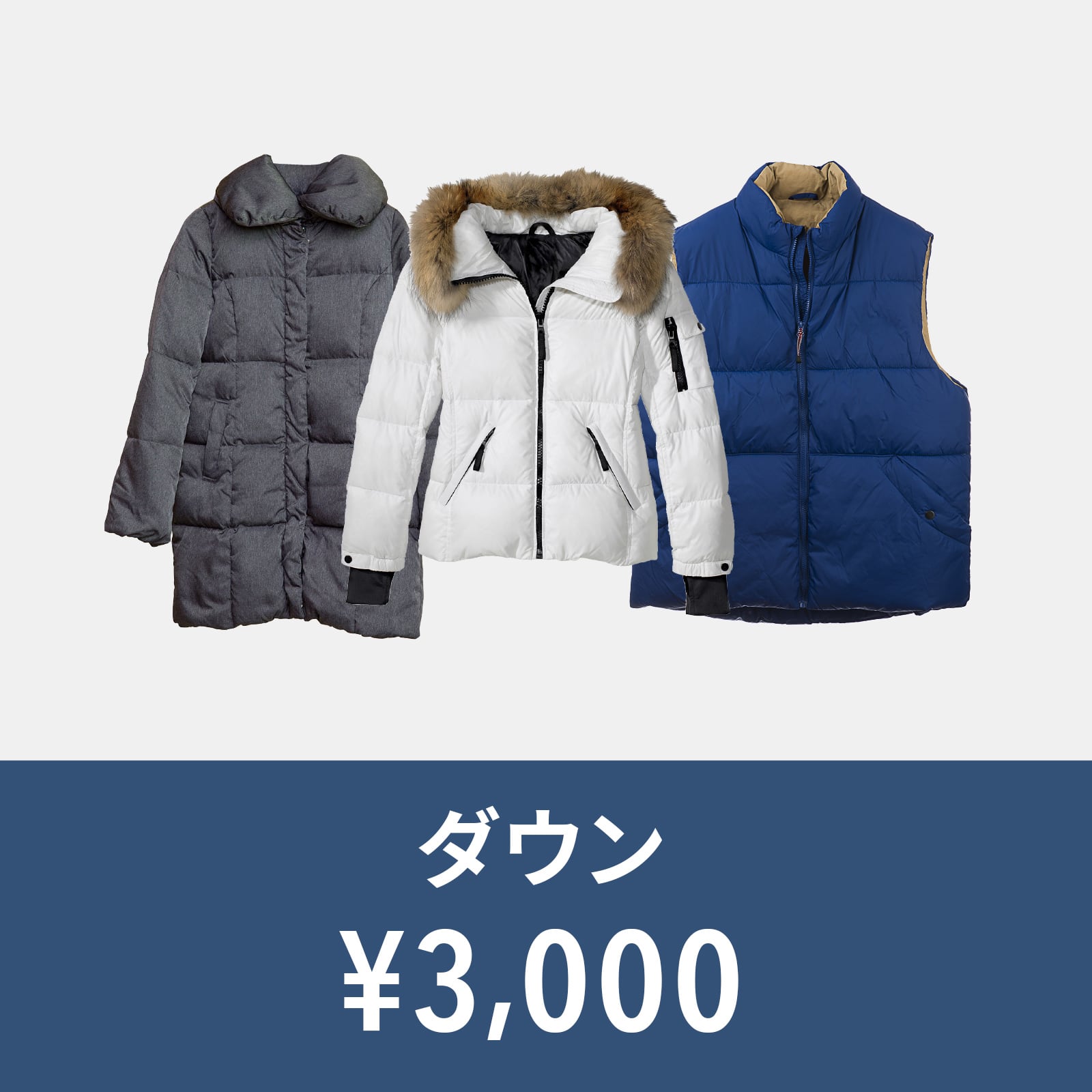 ダウンコース | 枚方市の宅配クリーニング│料金と店舗情報-ルビ宅