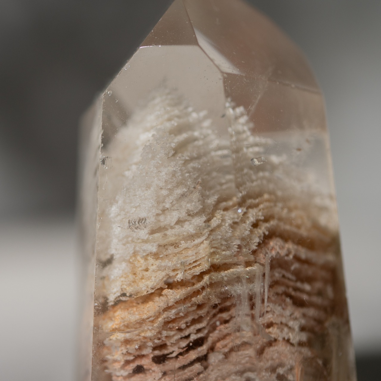 ガーデンクォーツ 千層  / タワー ポイント