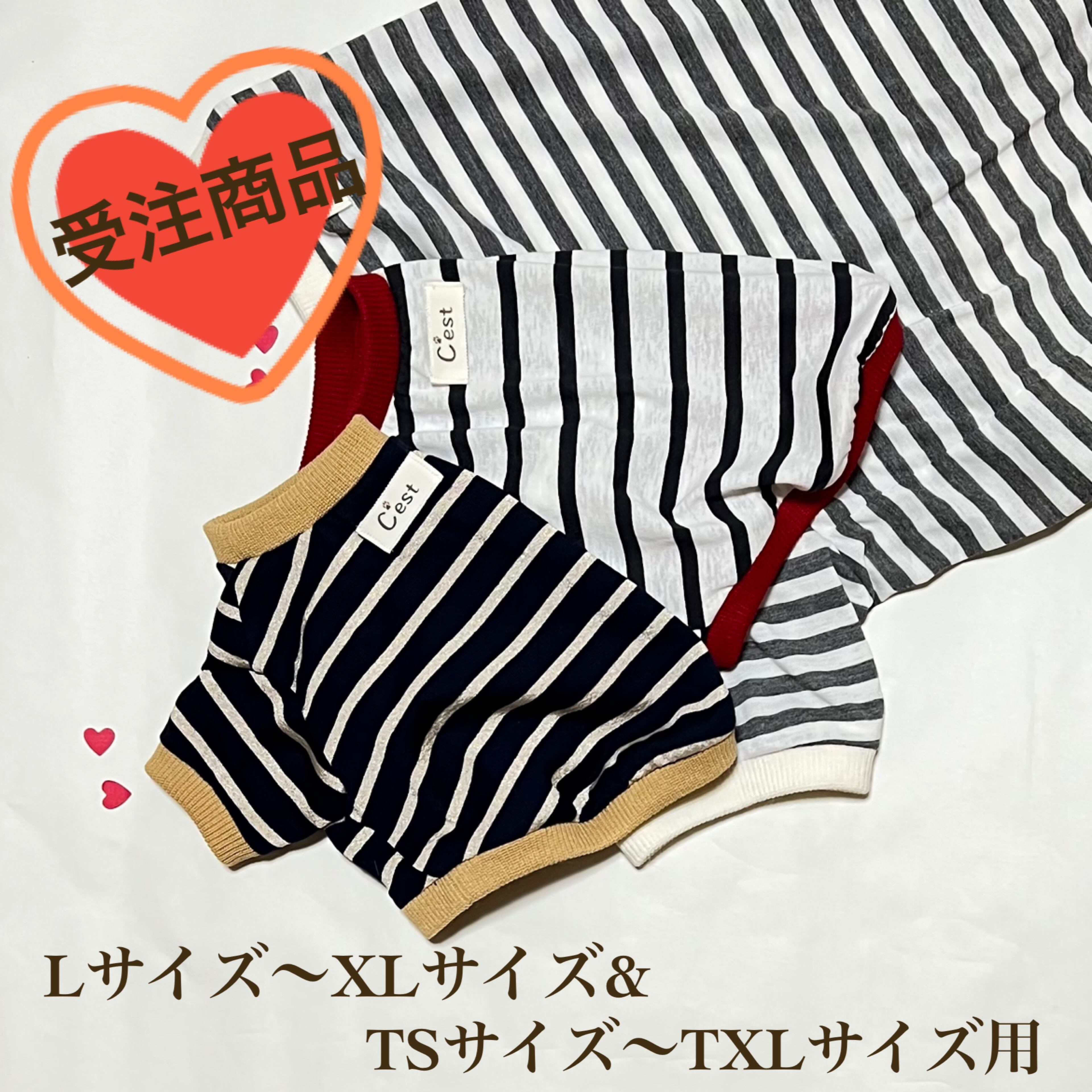 Tシャツ【L〜XLサイズ、TS〜TXLサイズ】 | C