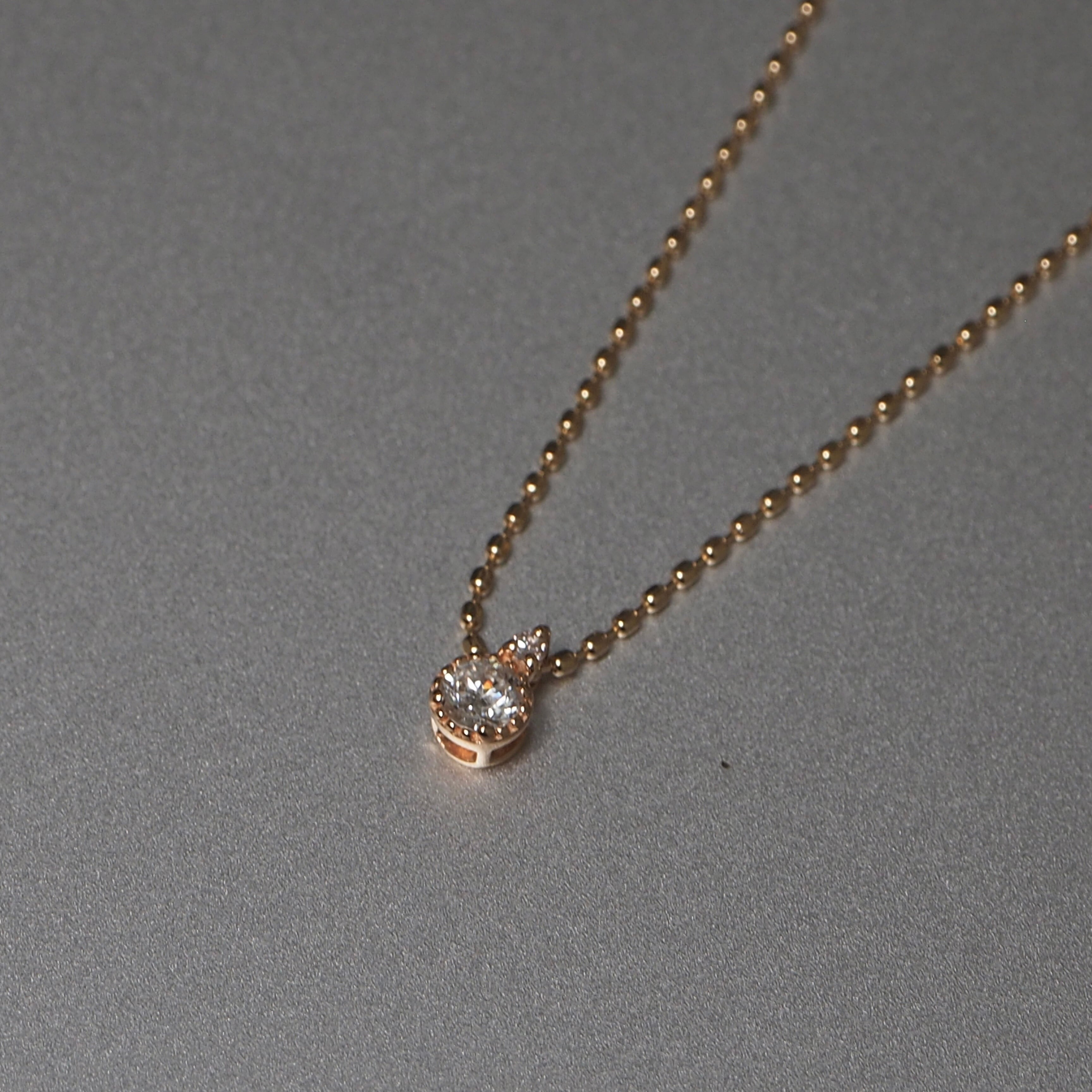 CAN-4 | CANAL Accessory