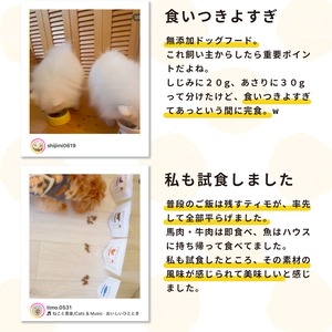 【Einy】国産 無添加ドッグフード小型犬用 さかな 400g