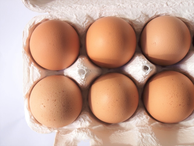 武井農園の生たまご 10個入り