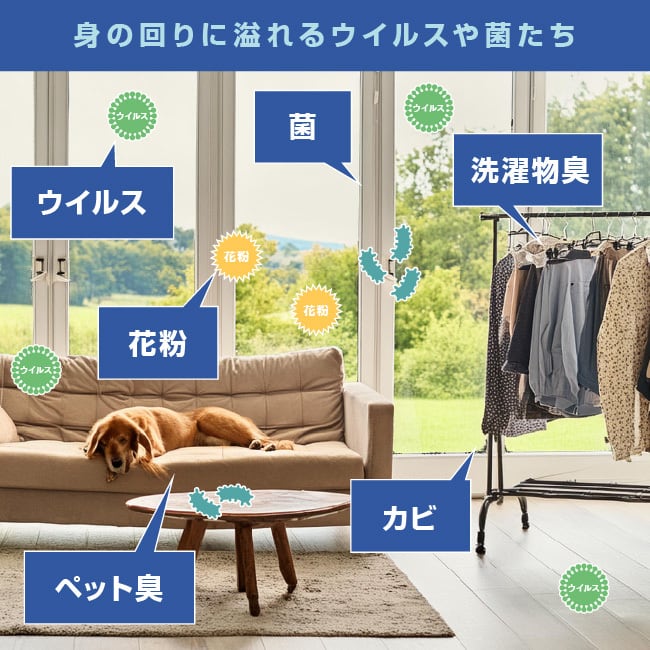 正規代理店2024 SterilizAir 脱臭機 除菌脱臭機 USJ-4N型 ステライザー