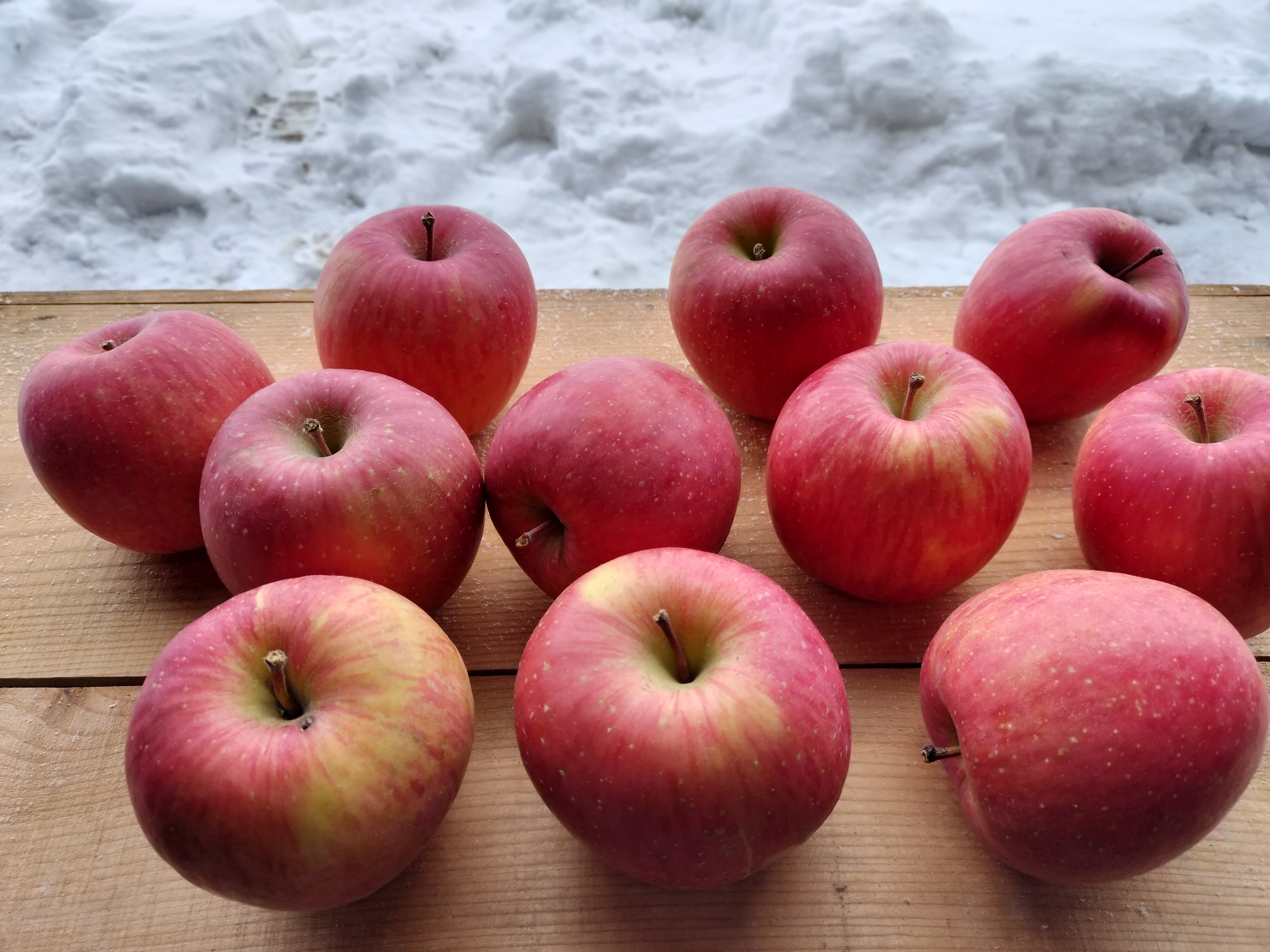 あきた 葉取らずサンふじ 5kg ご家庭用 大玉