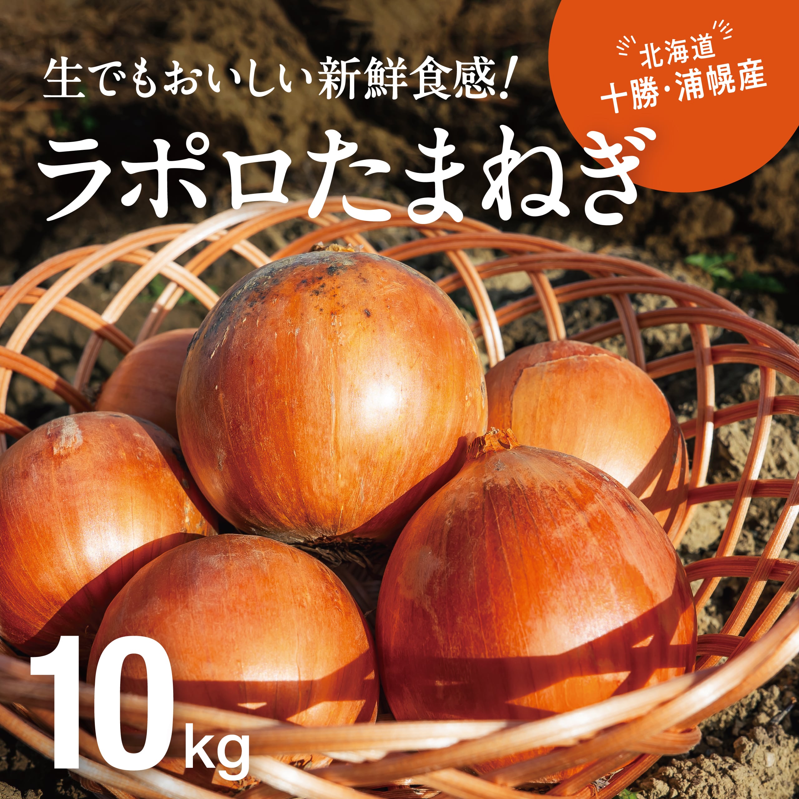 ラポロたまねぎ(10kg)北海道十勝・浦幌産