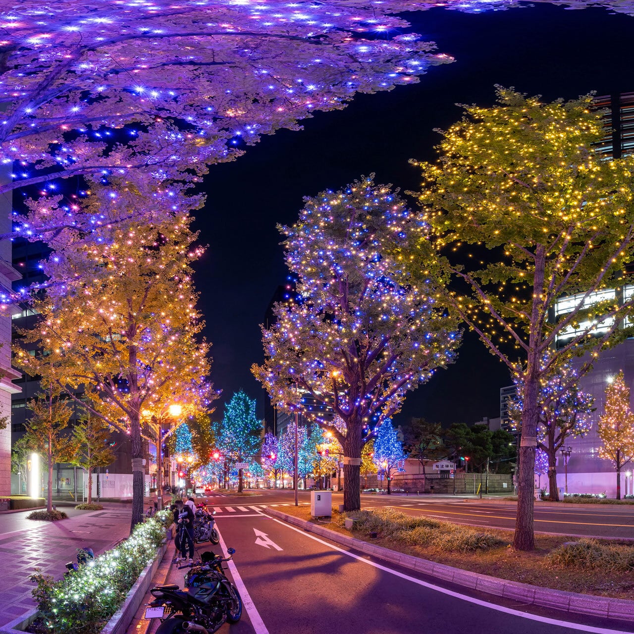 御堂筋イルミネーションの夜景 | JAPAN VRツアー | 360-Panorama