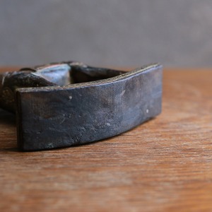 手放したくないほど美しい馬 15