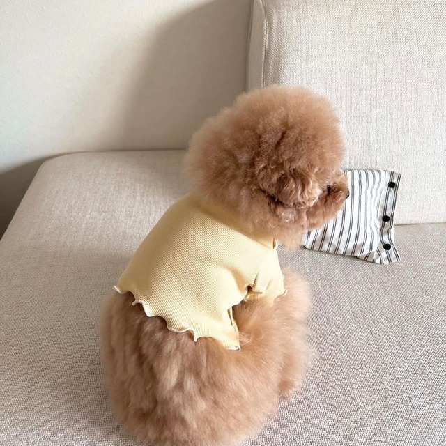 【ニュアンス リブ トップス】ショート丈も可/ 3色