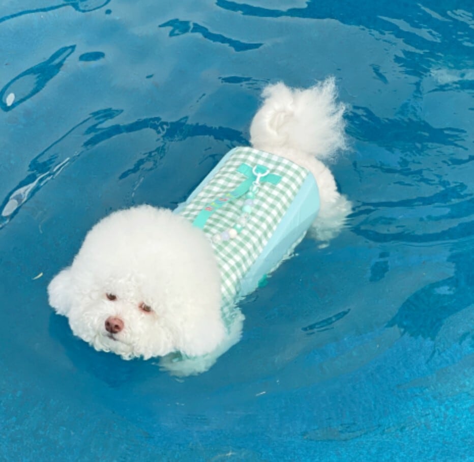 予約【ritogato】Lolipop LifeJacket《Mint》