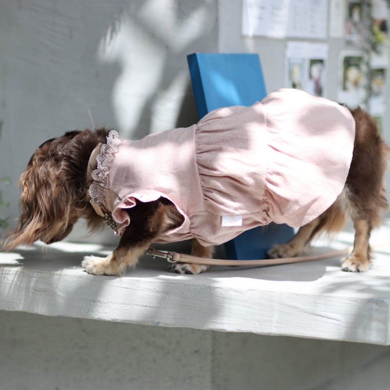 ティアードワンピース | カニンヘンダックスとミニチュアダックス専門