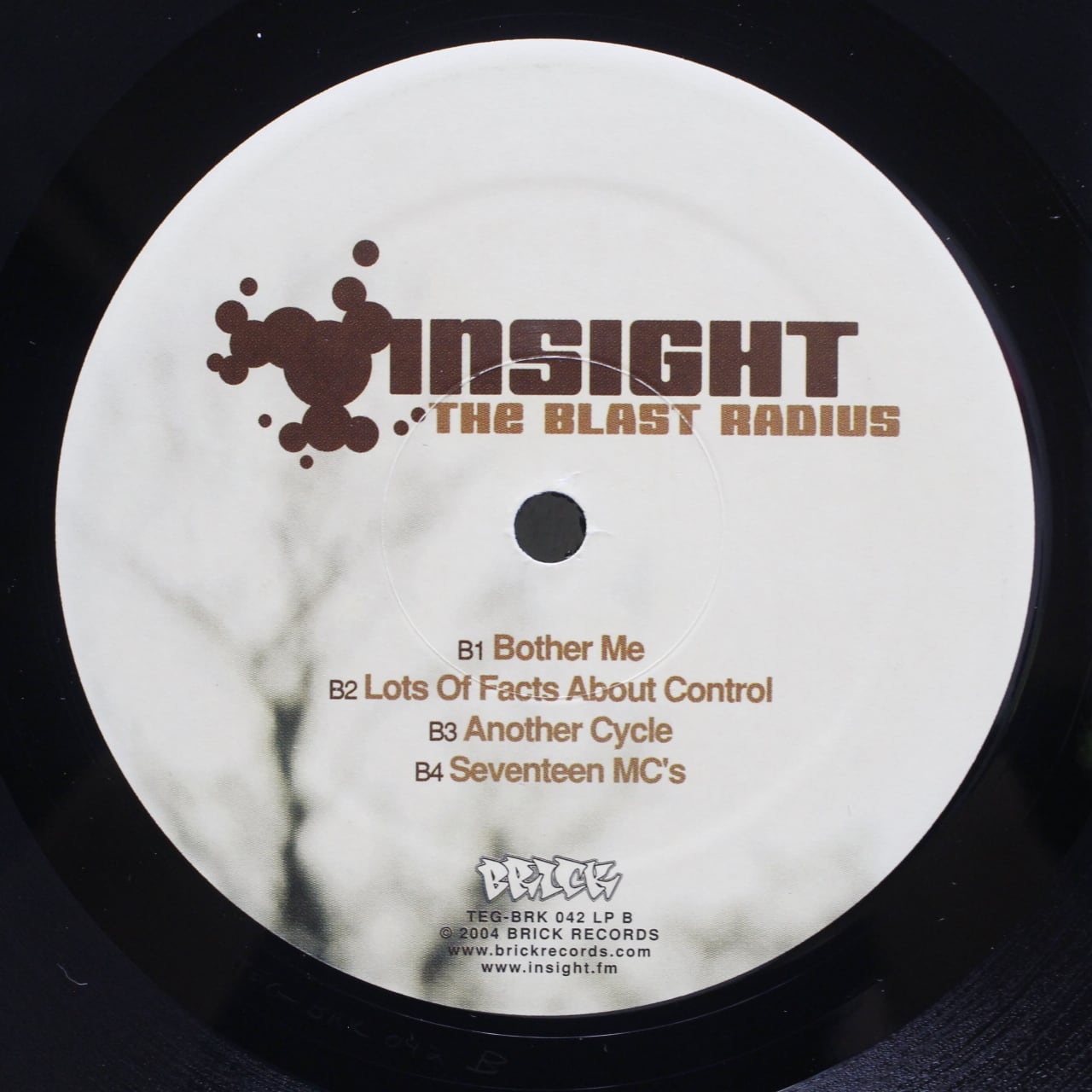 Insight / The Blast Radius [TEG-BRK 042 2xLP] - 画像4