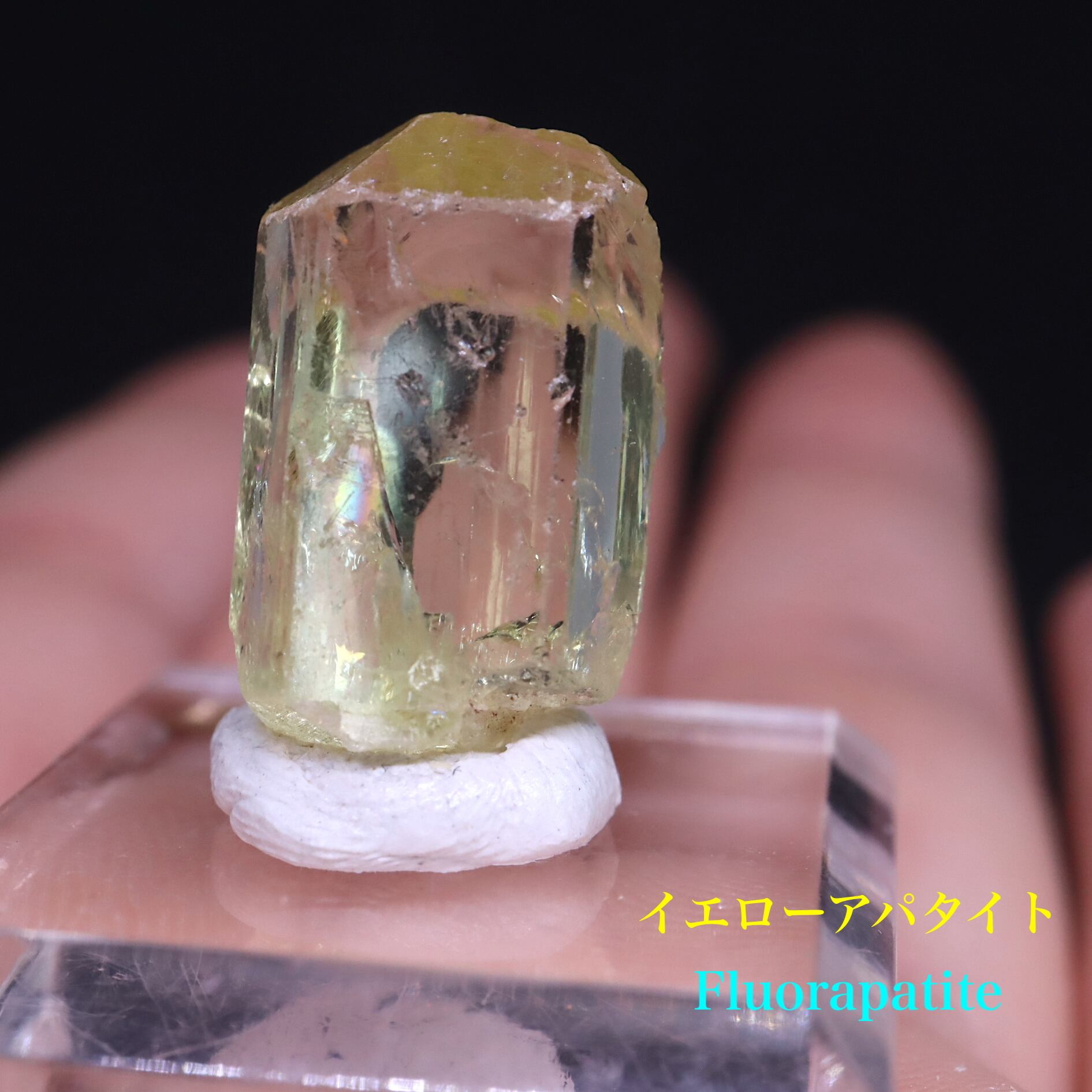 鉱物標本(弗素燐灰石) Fluorapatite