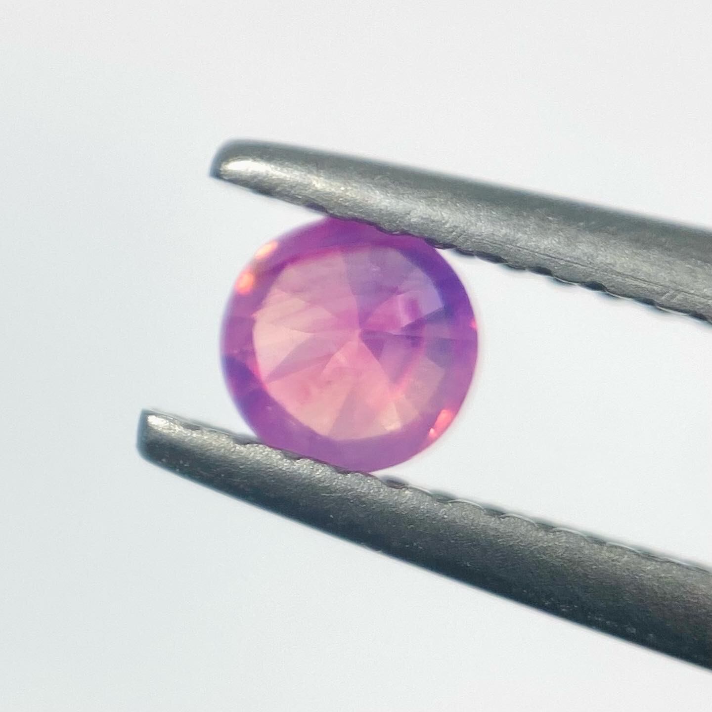 カトレア サファイア