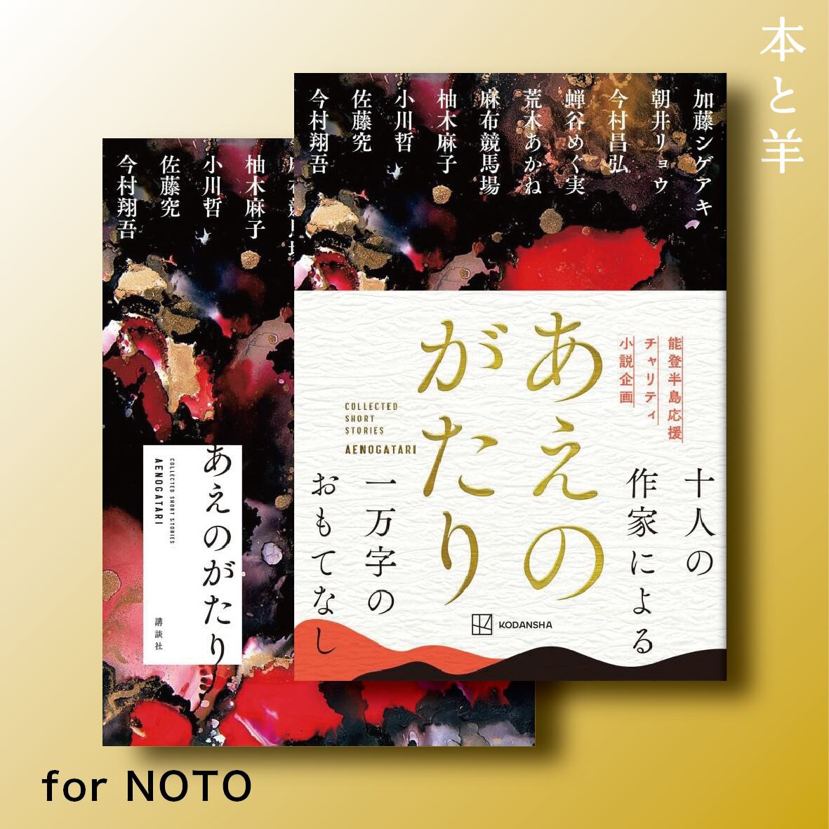 能登地震寄付 PAINT (英語) ハードカバー 大型本 能登半島記（未完